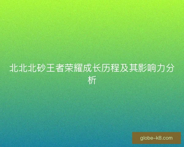 北北北砂王者荣耀成长历程及其影响力分析